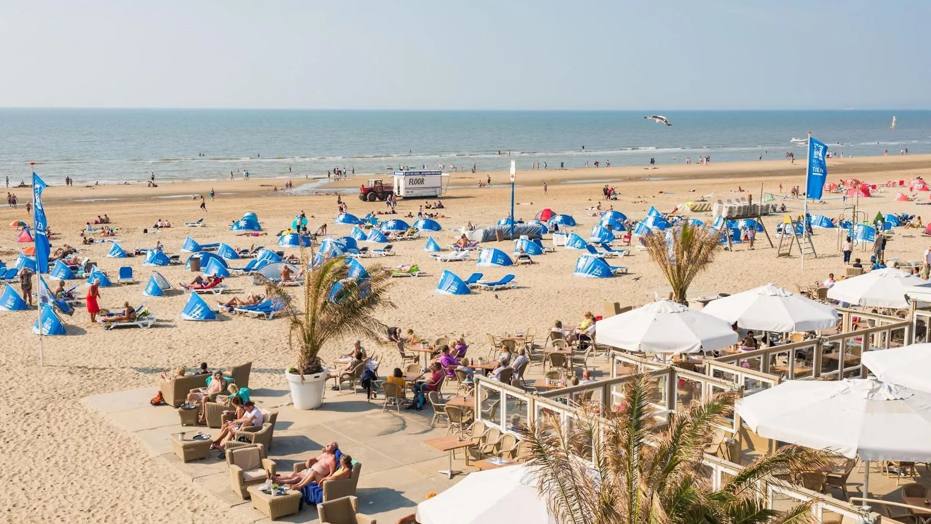 Marley'S Beachhouse - Luxury Apartment With Garden Zandvoort Niederlande